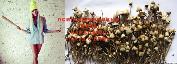 MDMA Premium VHQ Няндома