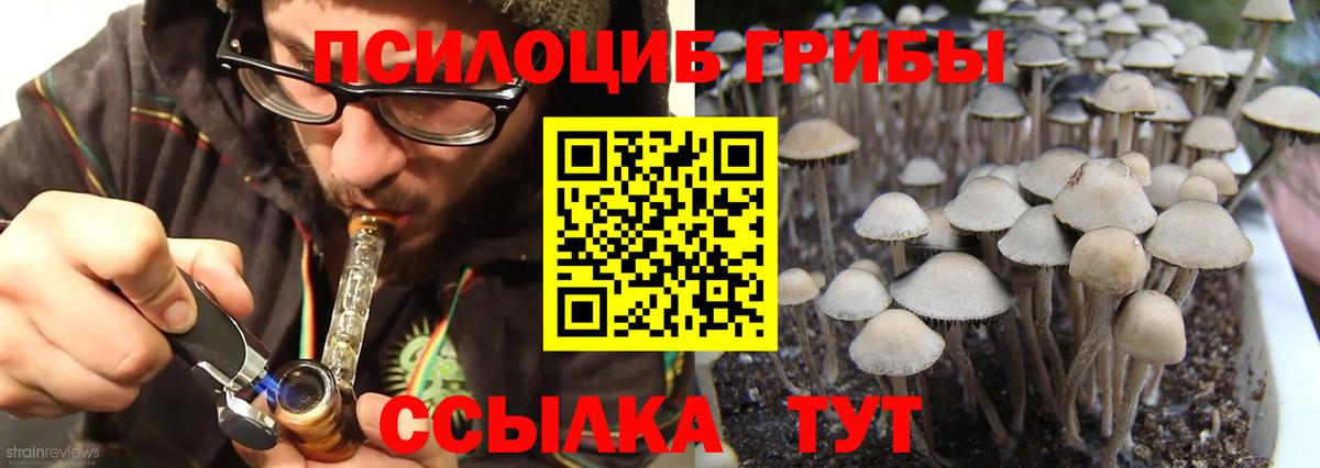 Галлюциногенные грибы Magic Shrooms  Вход с VPN  Торжок  Галлюциногенные грибы мицелий 